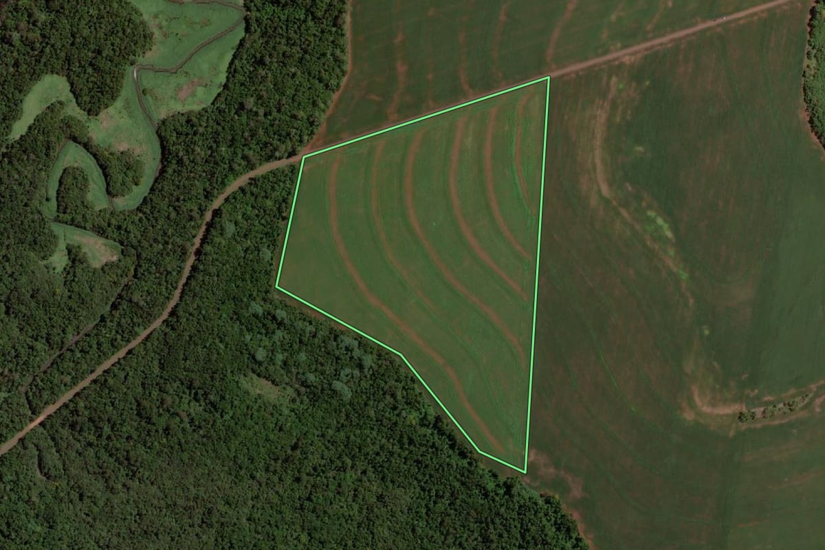 Imagem de satélite do imóvel rural em Santa Helena (PR), com o contorno declarado no CAR desenhado por cima.