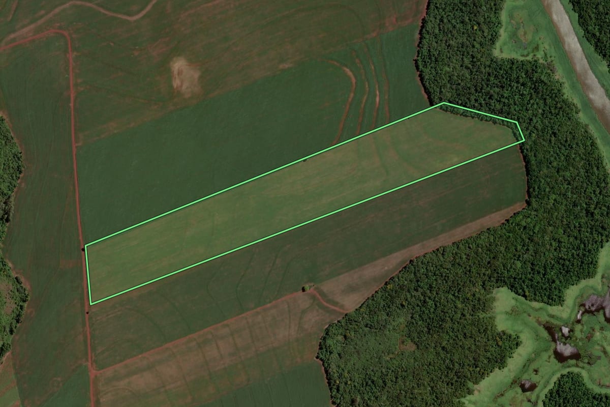 Imagem de satélite do imóvel rural em Santa Helena (PR), com o contorno declarado no CAR desenhado por cima.