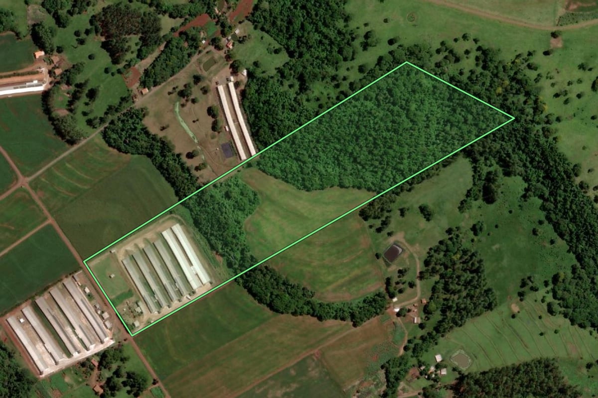 Imagem de satélite do imóvel rural em Santa Helena (PR), com o contorno declarado no CAR desenhado por cima.