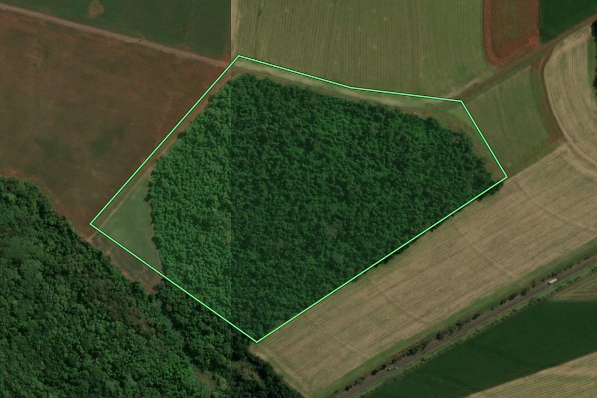 Imagem de satélite do imóvel rural em Santa Helena (PR), com o contorno declarado no CAR desenhado por cima.