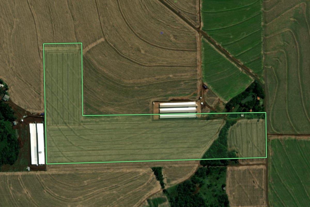 Imagem de satélite do imóvel rural em Santa Helena (PR), com o contorno declarado no CAR desenhado por cima.