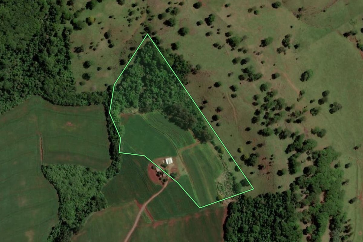 Imagem de satélite do imóvel rural em Santa Helena (PR), com o contorno declarado no CAR desenhado por cima.