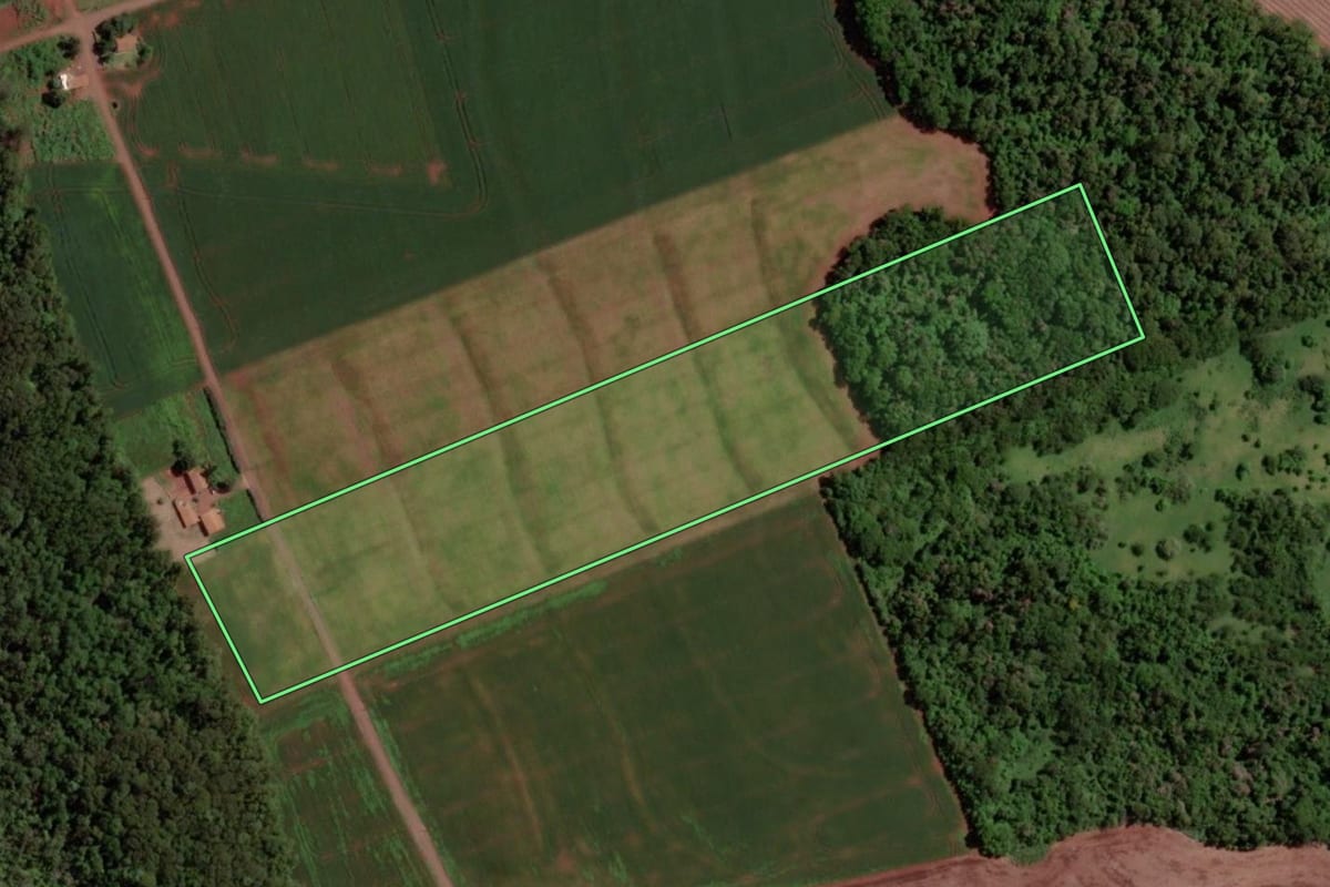 Imagem de satélite do imóvel rural em Santa Helena (PR), com o contorno declarado no CAR desenhado por cima.
