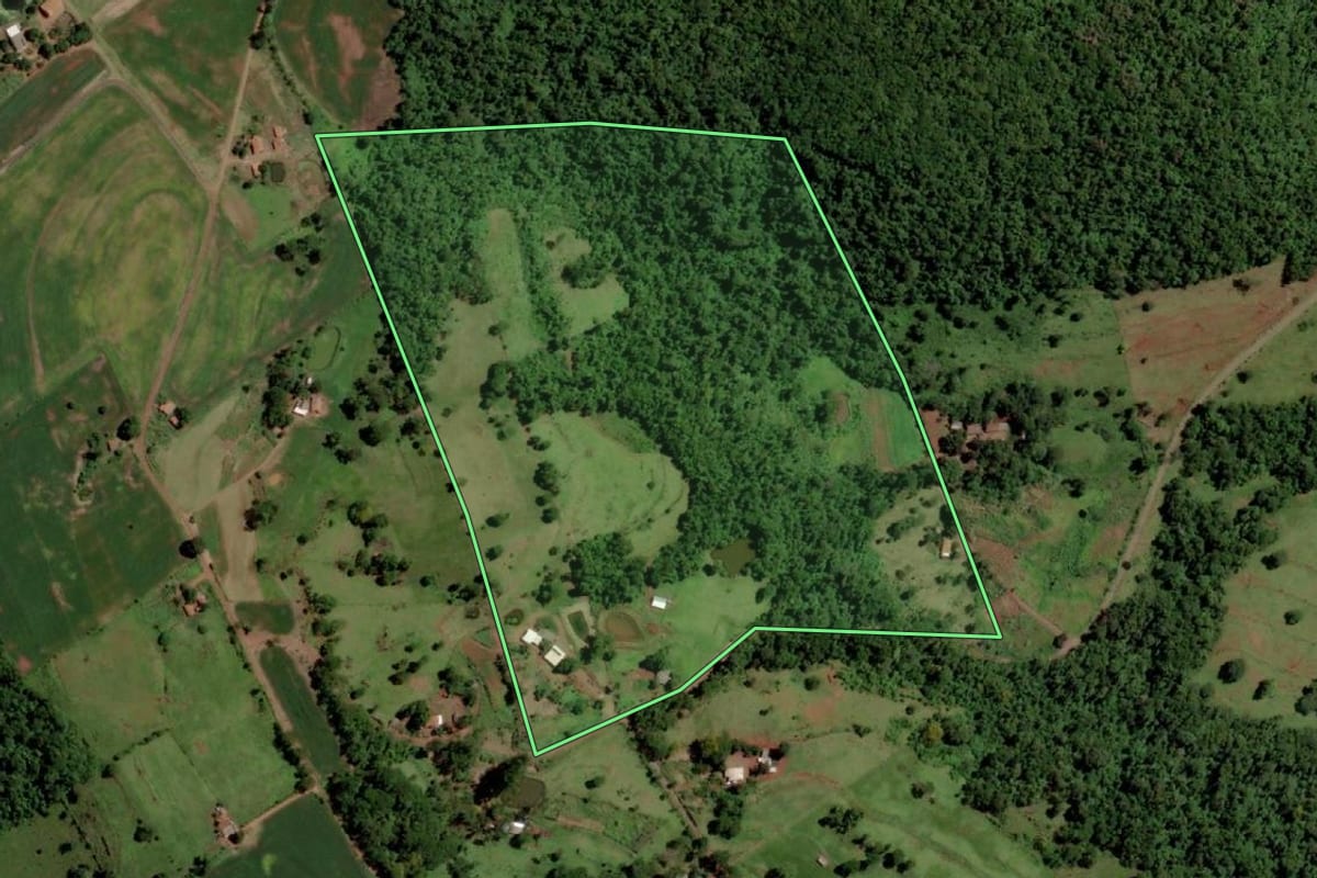 Imagem de satélite do imóvel rural em Santa Helena (PR), com o contorno declarado no CAR desenhado por cima.