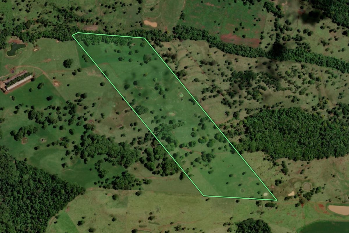 Imagem de satélite do imóvel rural em Santa Helena (PR), com o contorno declarado no CAR desenhado por cima.