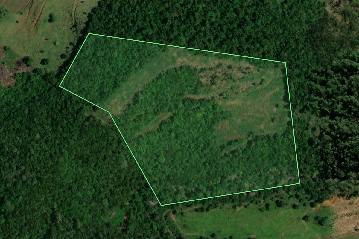 Imagem de satélite do imóvel rural em Santa Izabel do Oeste (PR), com o contorno declarado no CAR desenhado por cima.