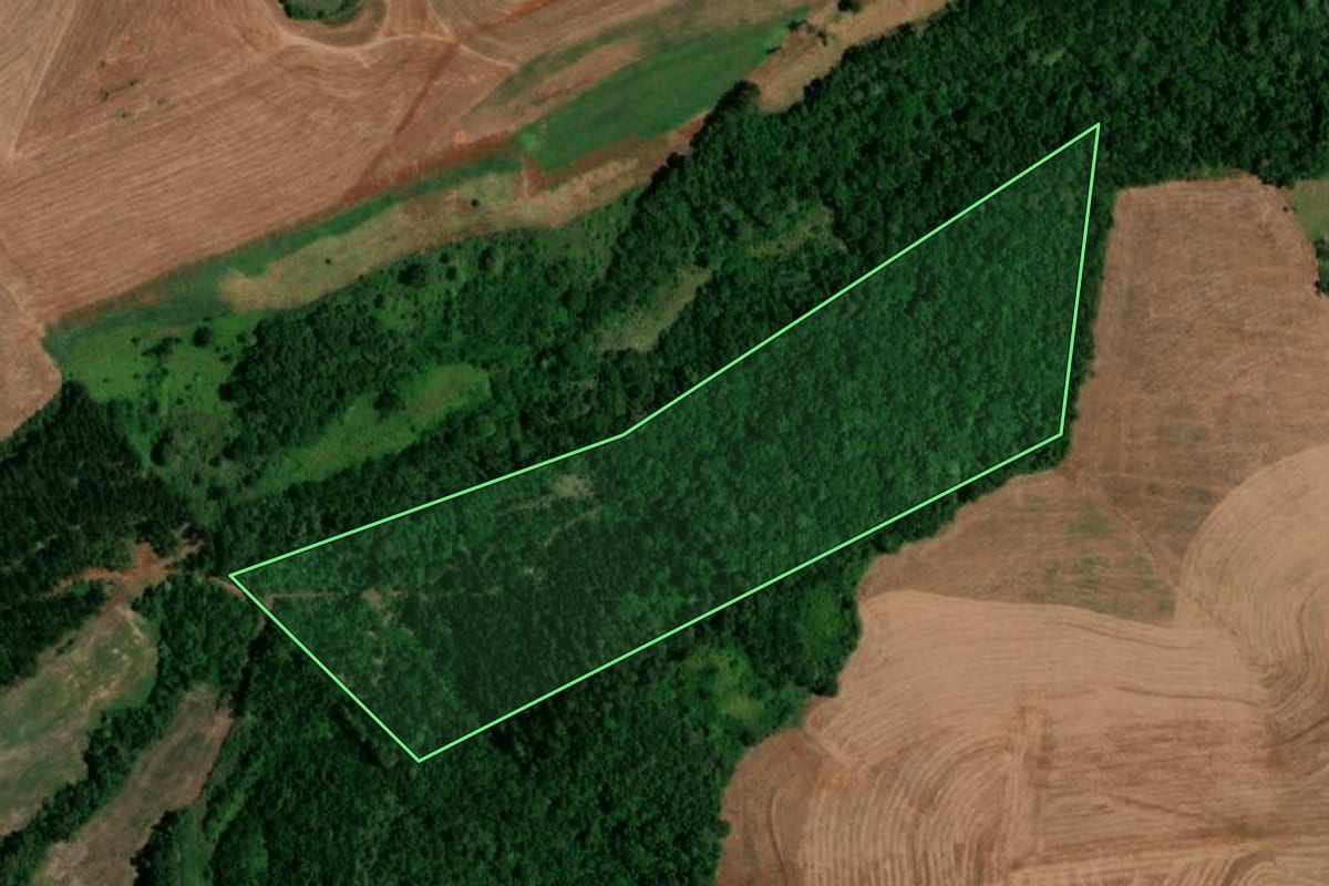 Imagem de satélite do imóvel rural em Santa Izabel do Oeste (PR), com o contorno declarado no CAR desenhado por cima.