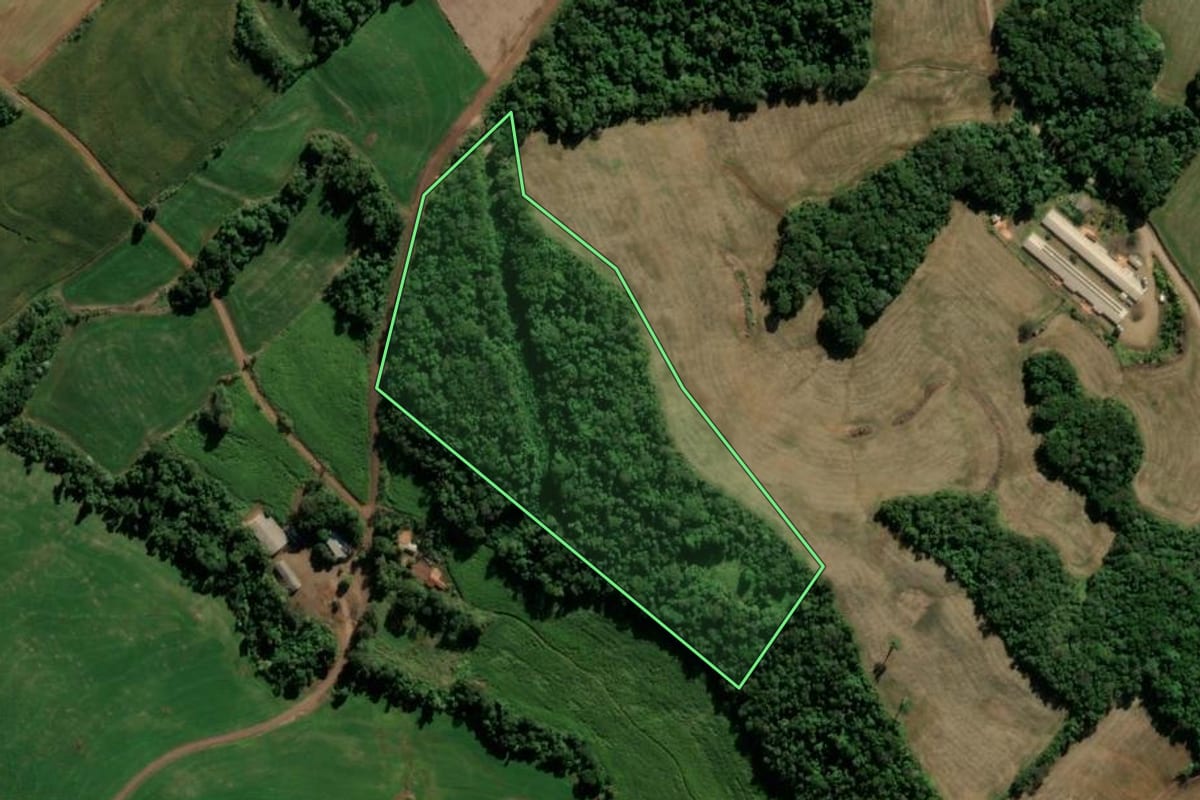 Imagem de satélite do imóvel rural em Santa Izabel do Oeste (PR), com o contorno declarado no CAR desenhado por cima.