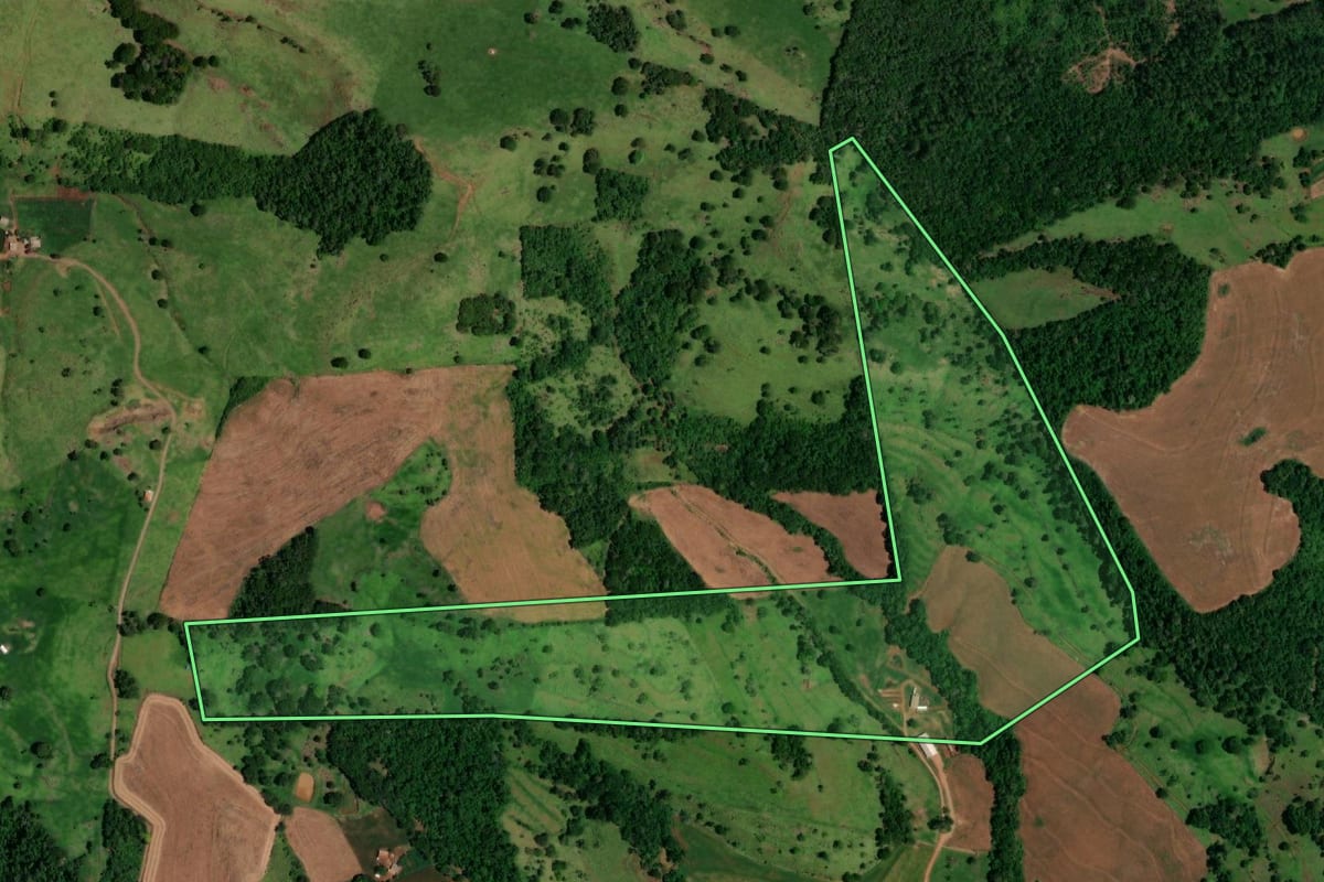 Imagem de satélite do imóvel rural em Santa Lúcia (PR), com o contorno declarado no CAR desenhado por cima.
