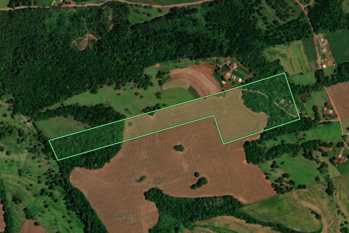 Imagem de satélite do imóvel rural em Santa Lúcia (PR), com o contorno declarado no CAR desenhado por cima.