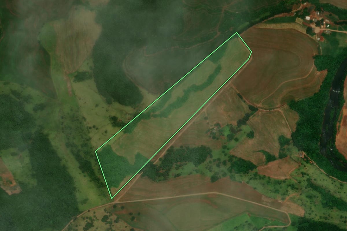 Imagem de satélite do imóvel rural em Santa Lúcia (PR), com o contorno declarado no CAR desenhado por cima.