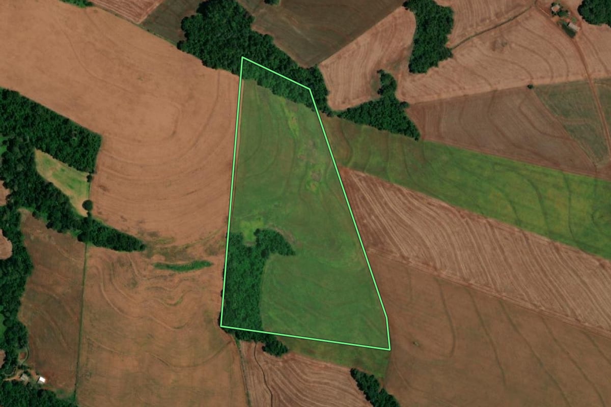 Imagem de satélite do imóvel rural em Santa Lúcia (PR), com o contorno declarado no CAR desenhado por cima.