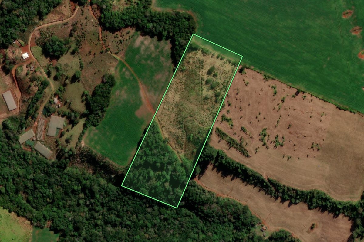 Imagem de satélite do imóvel rural em Santa Maria do Oeste (PR), com o contorno declarado no CAR desenhado por cima.