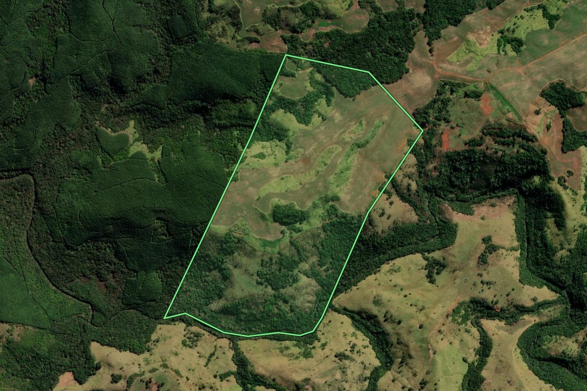 Imagem de satélite do imóvel rural em Santa Maria do Oeste (PR), com o contorno declarado no CAR desenhado por cima.