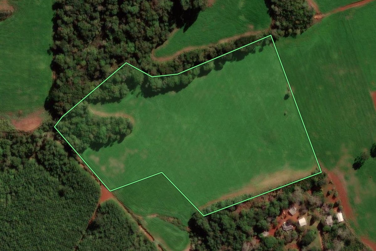 Imagem de satélite do imóvel rural em Santa Maria do Oeste (PR), com o contorno declarado no CAR desenhado por cima.