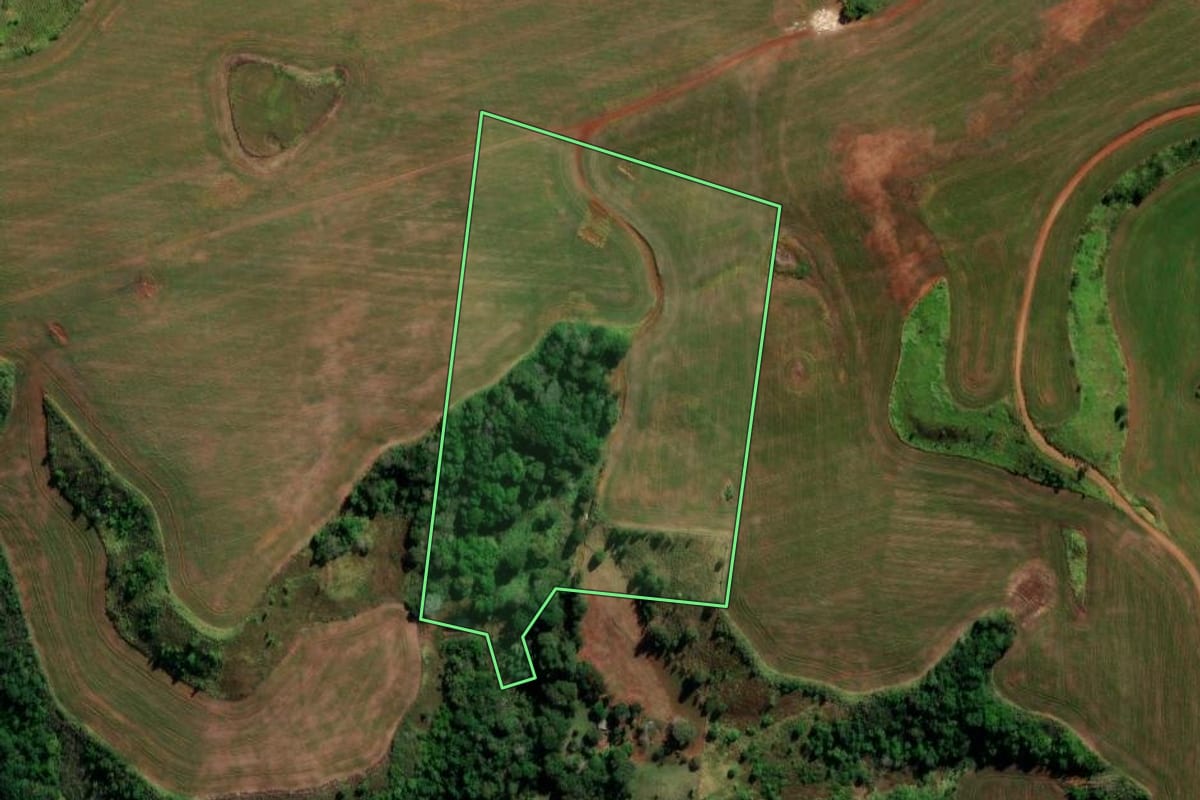 Imagem de satélite do imóvel rural em Santa Maria do Oeste (PR), com o contorno declarado no CAR desenhado por cima.