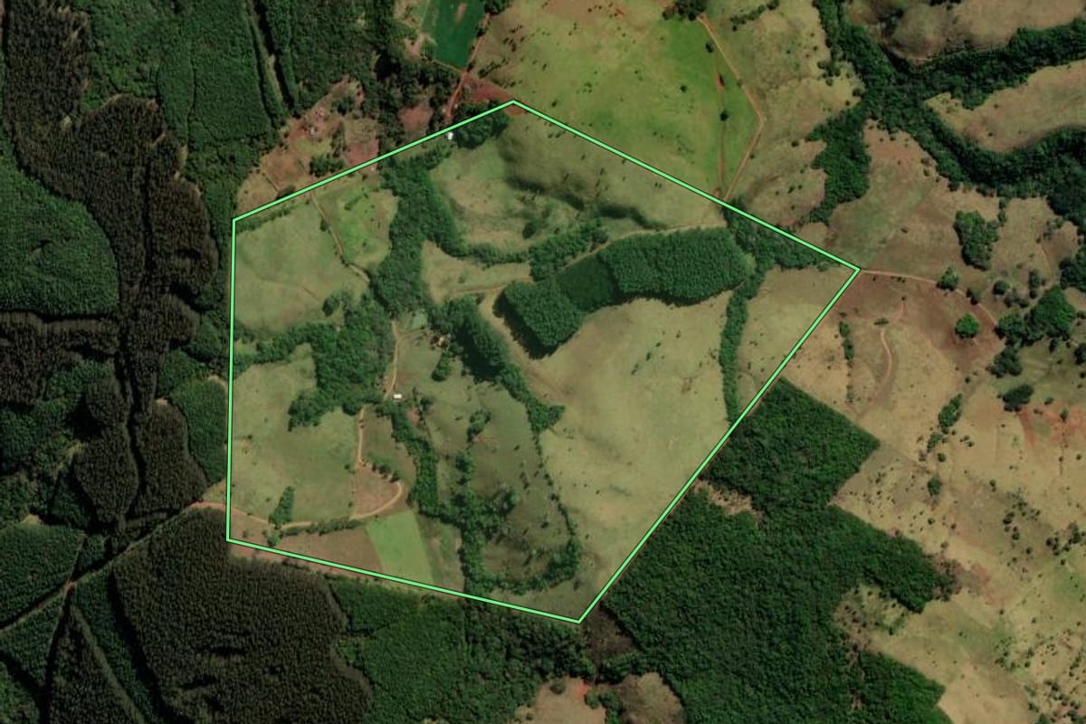 Imagem de satélite do imóvel rural em Santa Maria do Oeste (PR), com o contorno declarado no CAR desenhado por cima.