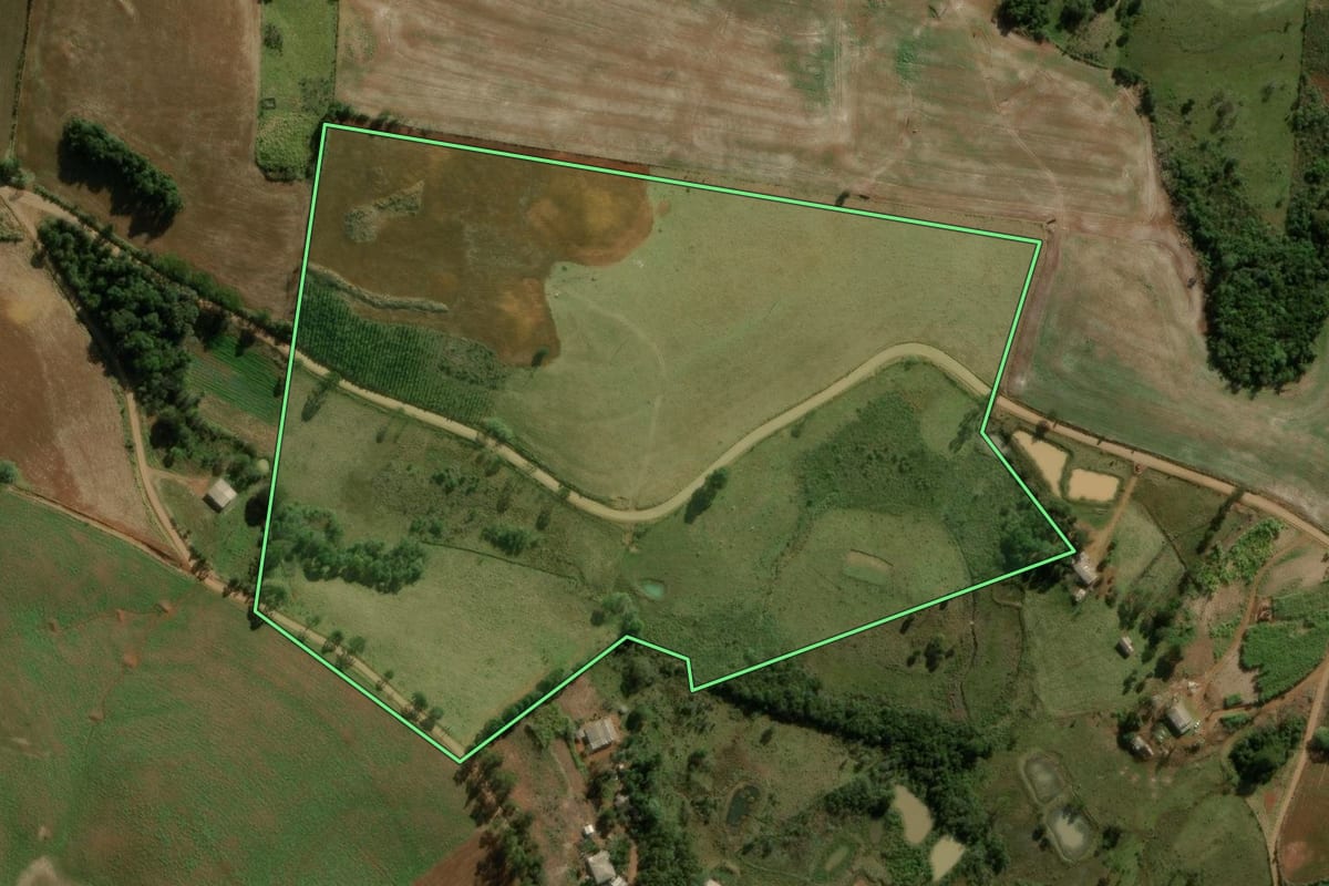 Imagem de satélite do imóvel rural em Santa Maria do Oeste (PR), com o contorno declarado no CAR desenhado por cima.
