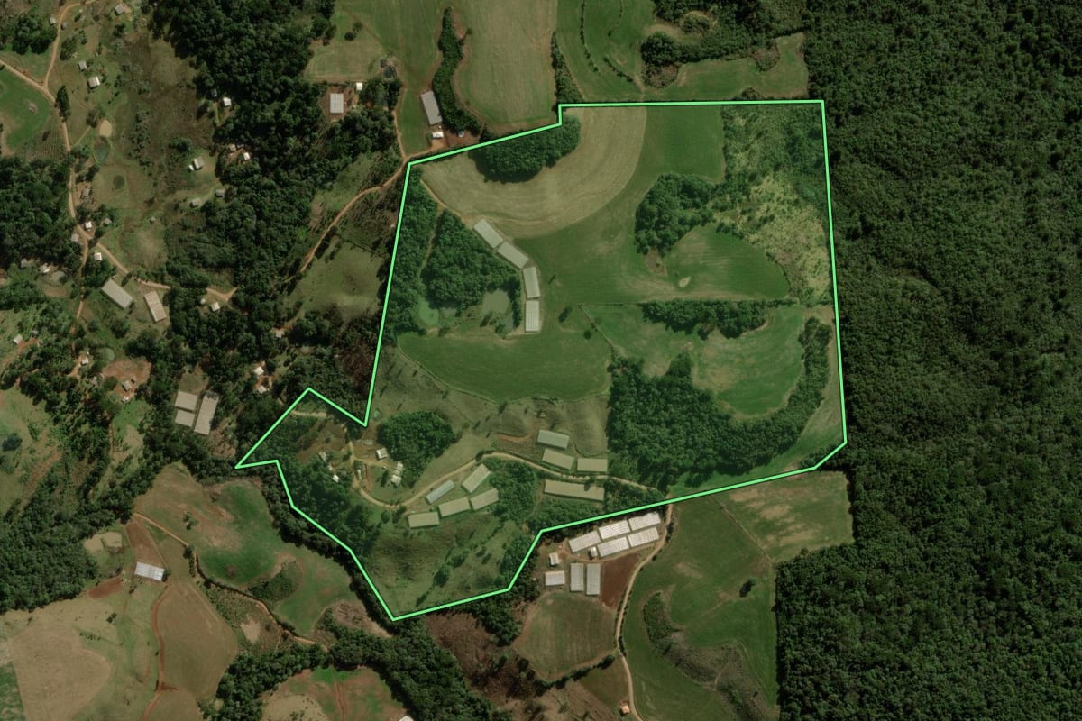 Imagem de satélite do imóvel rural em Santa Maria do Oeste (PR), com o contorno declarado no CAR desenhado por cima.