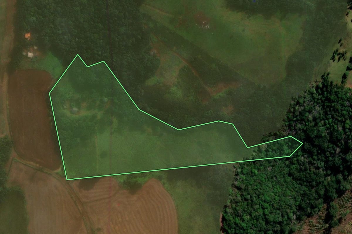 Imagem de satélite do imóvel rural em Santa Maria do Oeste (PR), com o contorno declarado no CAR desenhado por cima.