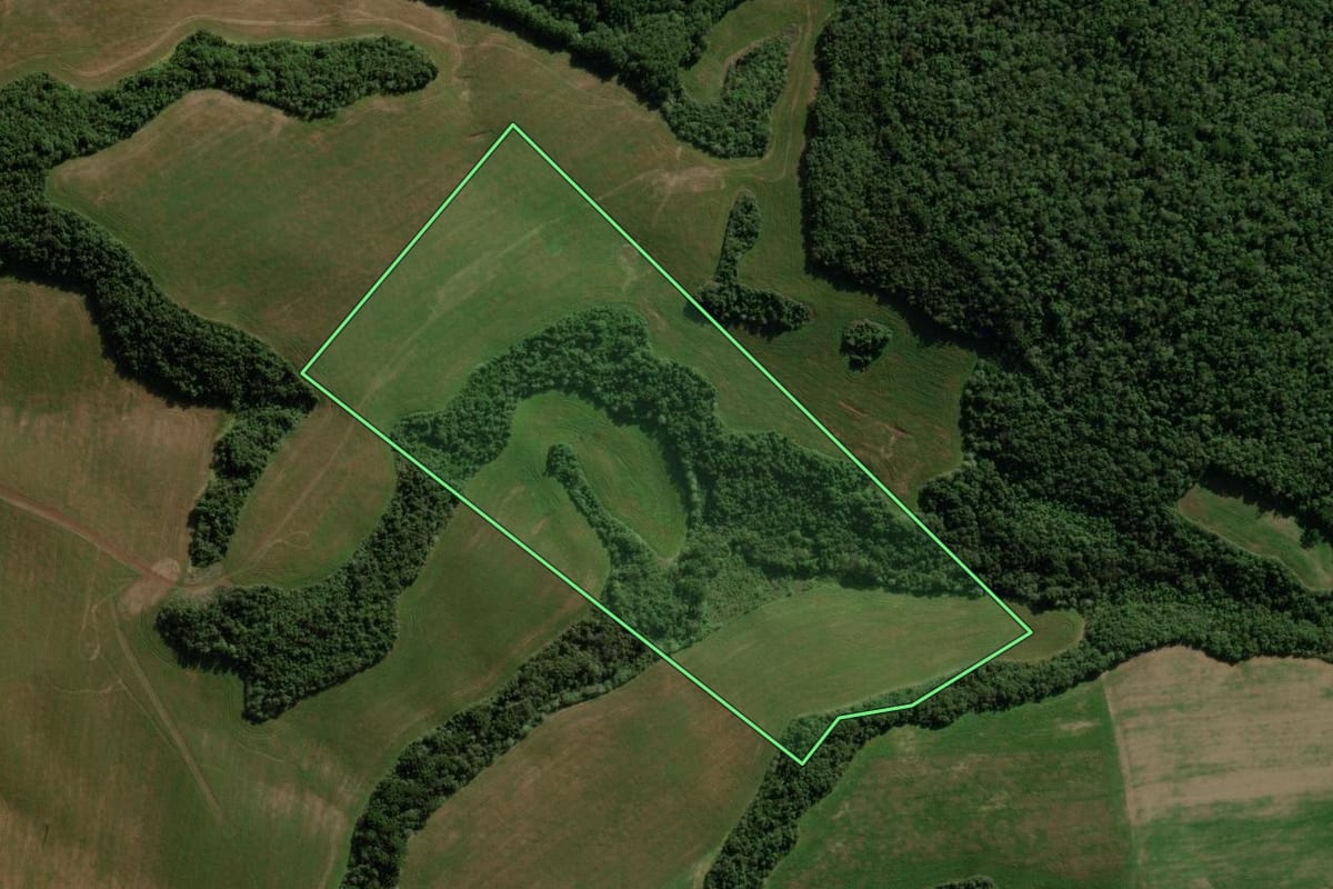 Imagem de satélite do imóvel rural em Santa Maria do Oeste (PR), com o contorno declarado no CAR desenhado por cima.