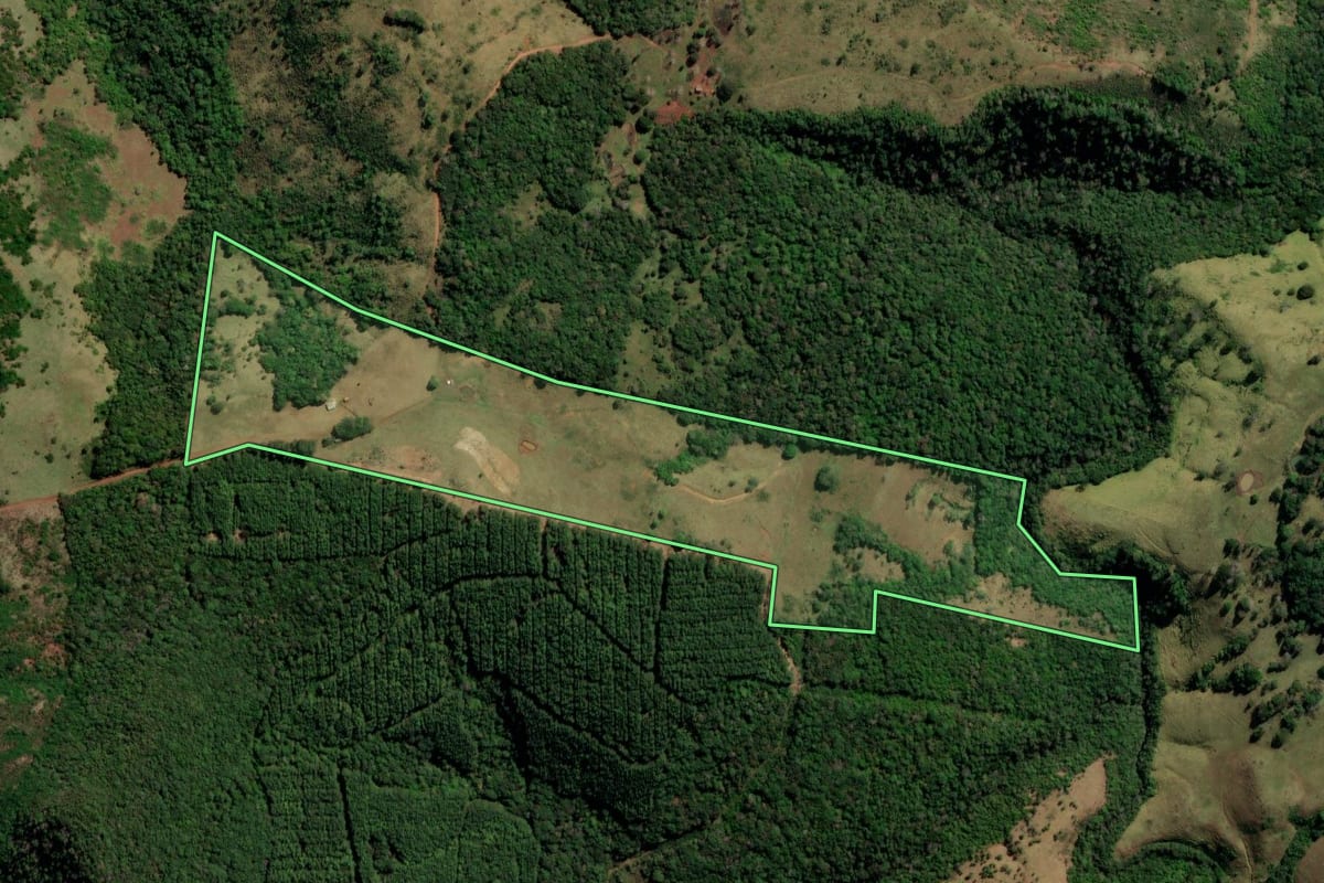 Imagem de satélite do imóvel rural em Santa Maria do Oeste (PR), com o contorno declarado no CAR desenhado por cima.