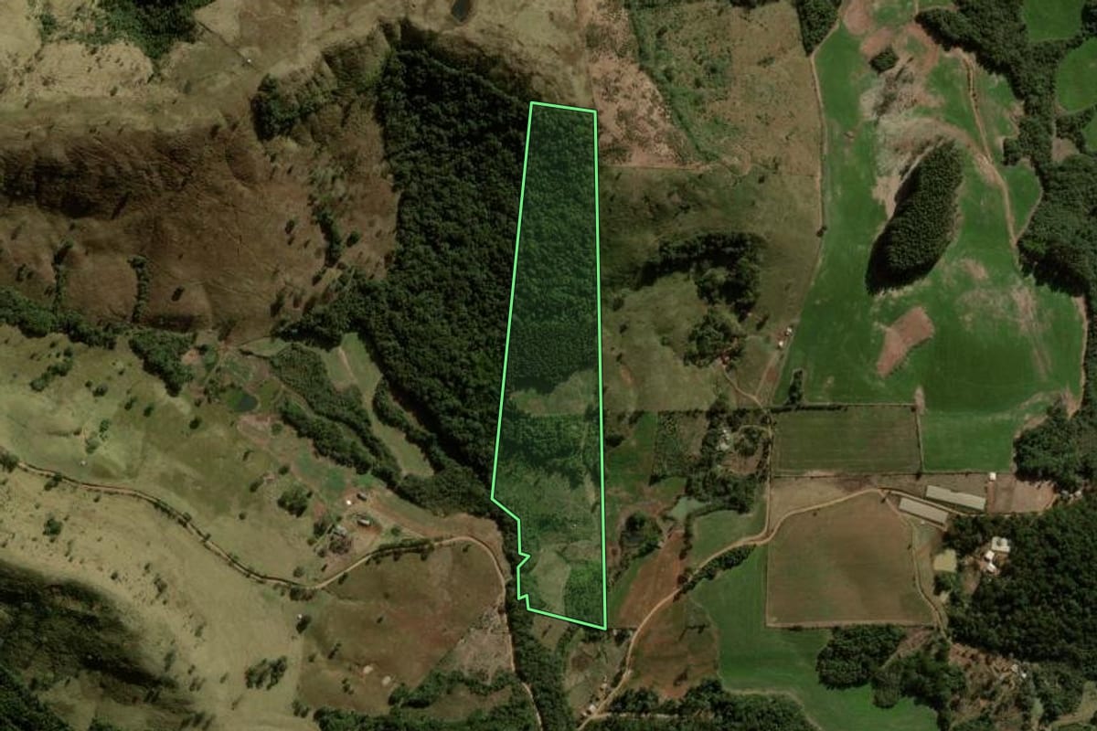 Imagem de satélite do imóvel rural em Santa Maria do Oeste (PR), com o contorno declarado no CAR desenhado por cima.