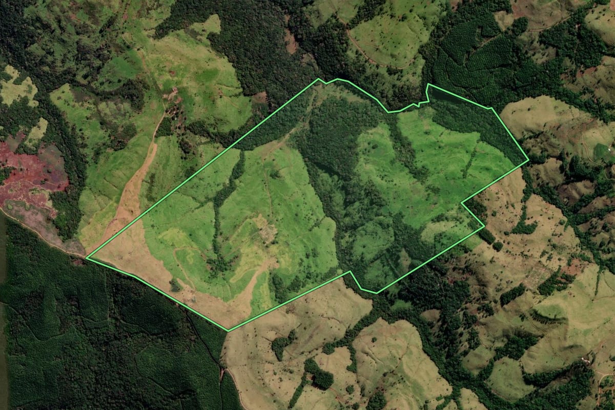 Imagem de satélite do imóvel rural em Santa Maria do Oeste (PR), com o contorno declarado no CAR desenhado por cima.