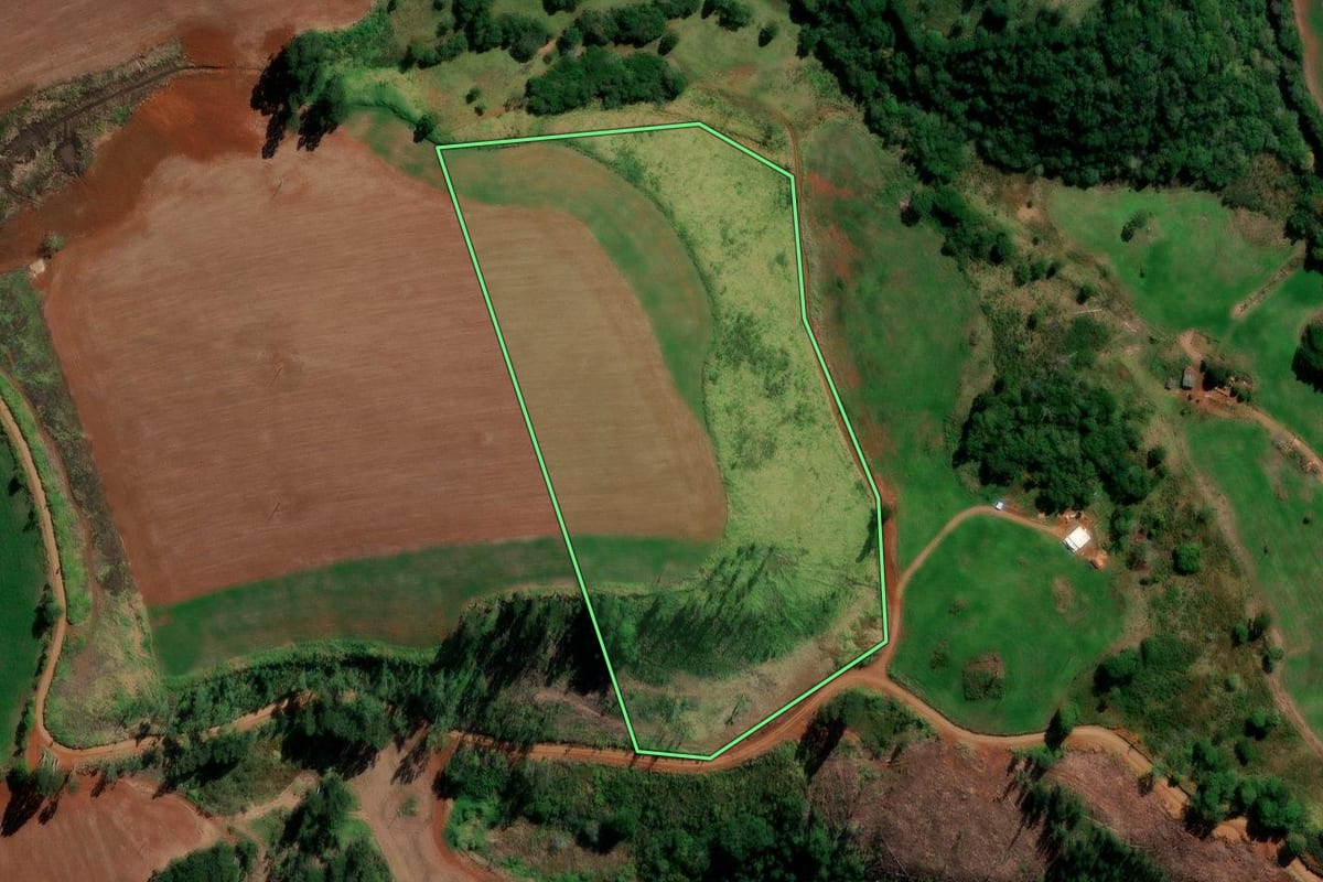 Imagem de satélite do imóvel rural em Santa Maria do Oeste (PR), com o contorno declarado no CAR desenhado por cima.
