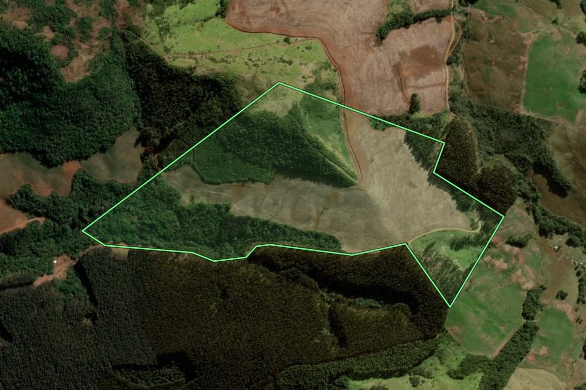 Imagem de satélite do imóvel rural em Santa Maria do Oeste (PR), com o contorno declarado no CAR desenhado por cima.