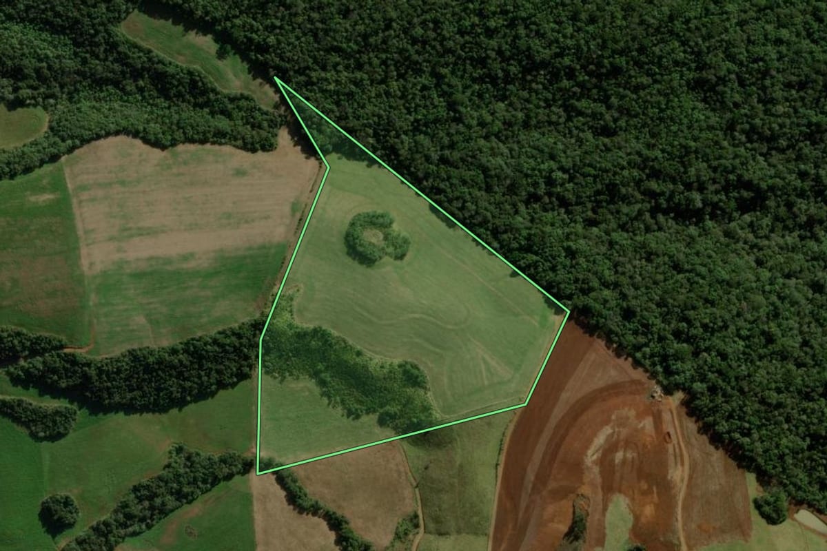 Imagem de satélite do imóvel rural em Santa Maria do Oeste (PR), com o contorno declarado no CAR desenhado por cima.