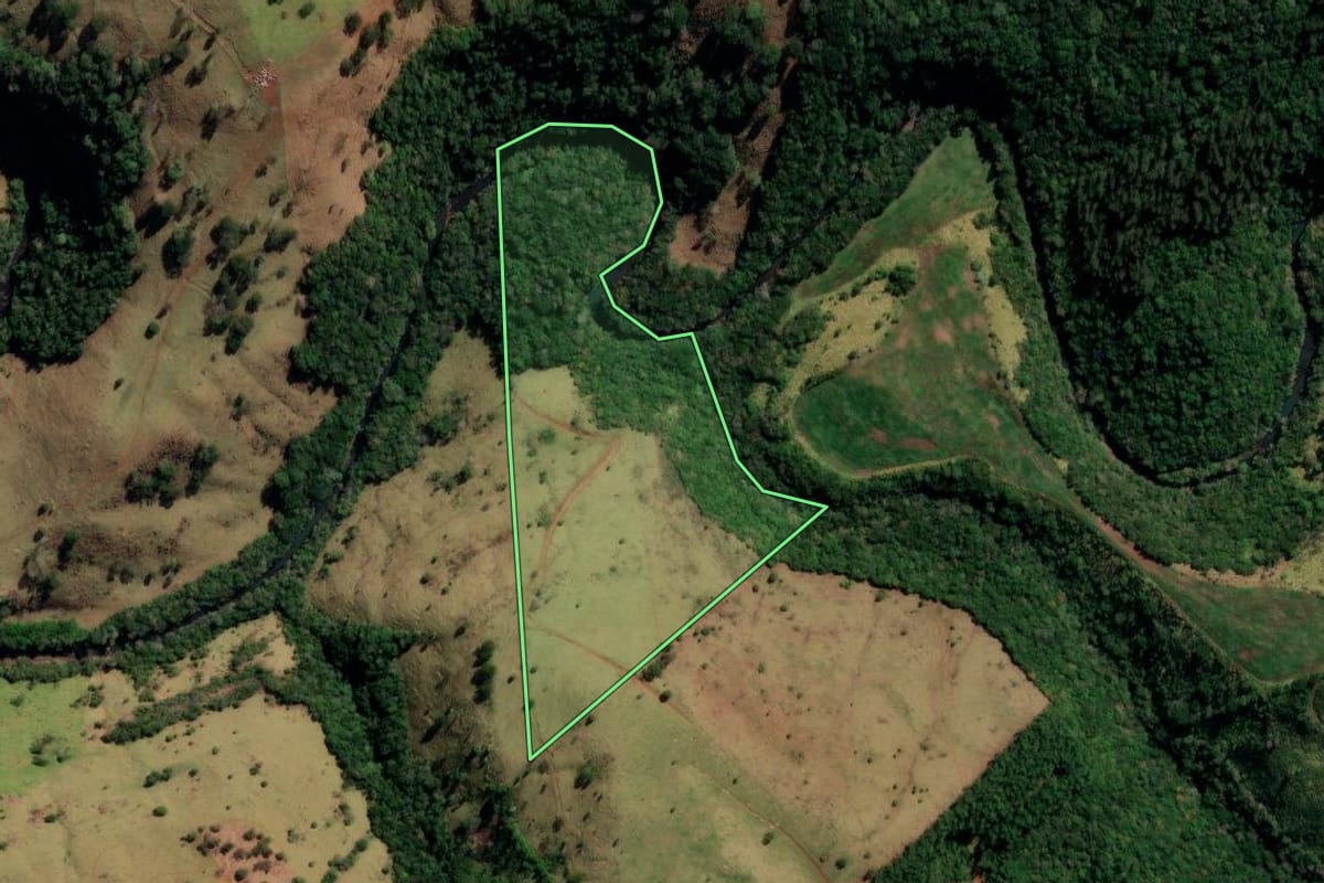 Imagem de satélite do imóvel rural em Santa Maria do Oeste (PR), com o contorno declarado no CAR desenhado por cima.