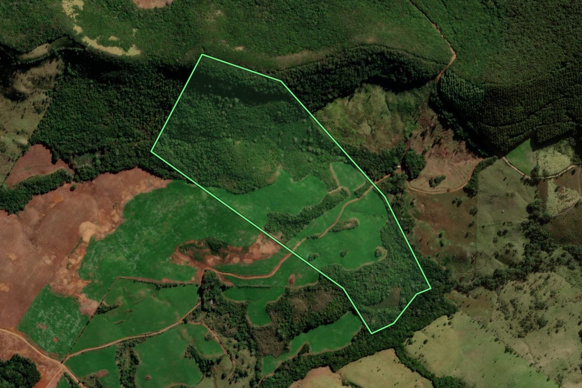Imagem de satélite do imóvel rural em Santa Maria do Oeste (PR), com o contorno declarado no CAR desenhado por cima.