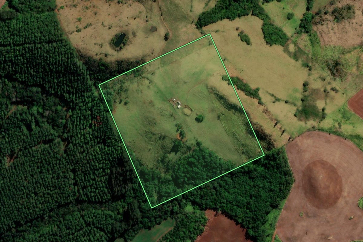 Imagem de satélite do imóvel rural em Santa Maria do Oeste (PR), com o contorno declarado no CAR desenhado por cima.