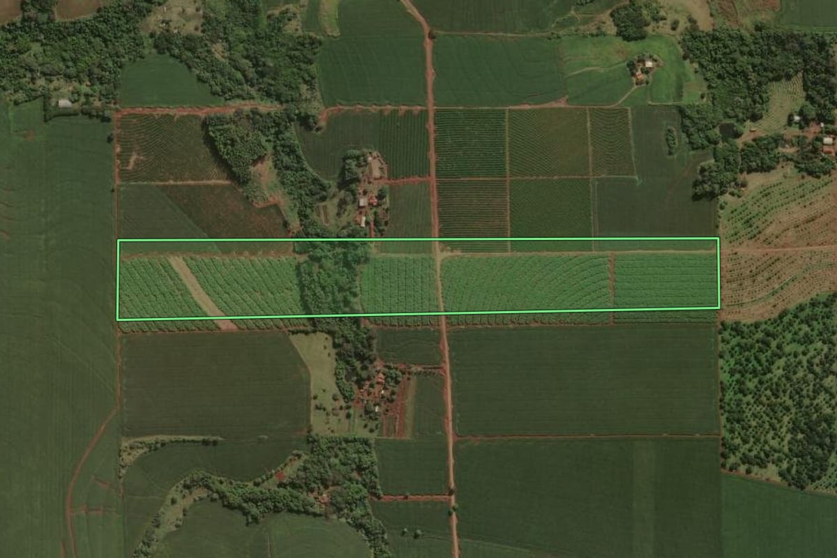 Imagem de satélite do imóvel rural em Santa Mariana (PR), com o contorno declarado no CAR desenhado por cima.