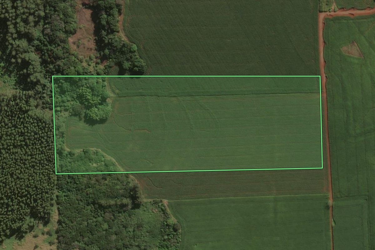 Imagem de satélite do imóvel rural em Santa Mariana (PR), com o contorno declarado no CAR desenhado por cima.