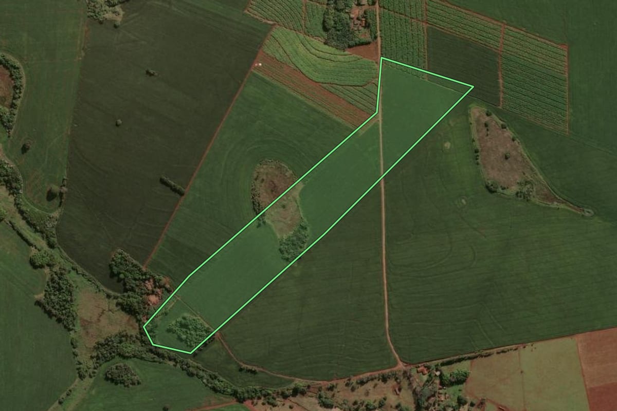 Imagem de satélite do imóvel rural em Santa Mariana (PR), com o contorno declarado no CAR desenhado por cima.