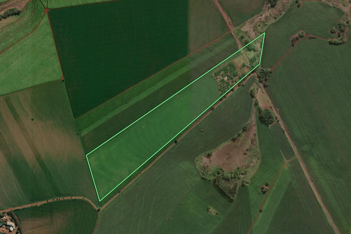 Imagem de satélite do imóvel rural em Santa Mariana (PR), com o contorno declarado no CAR desenhado por cima.