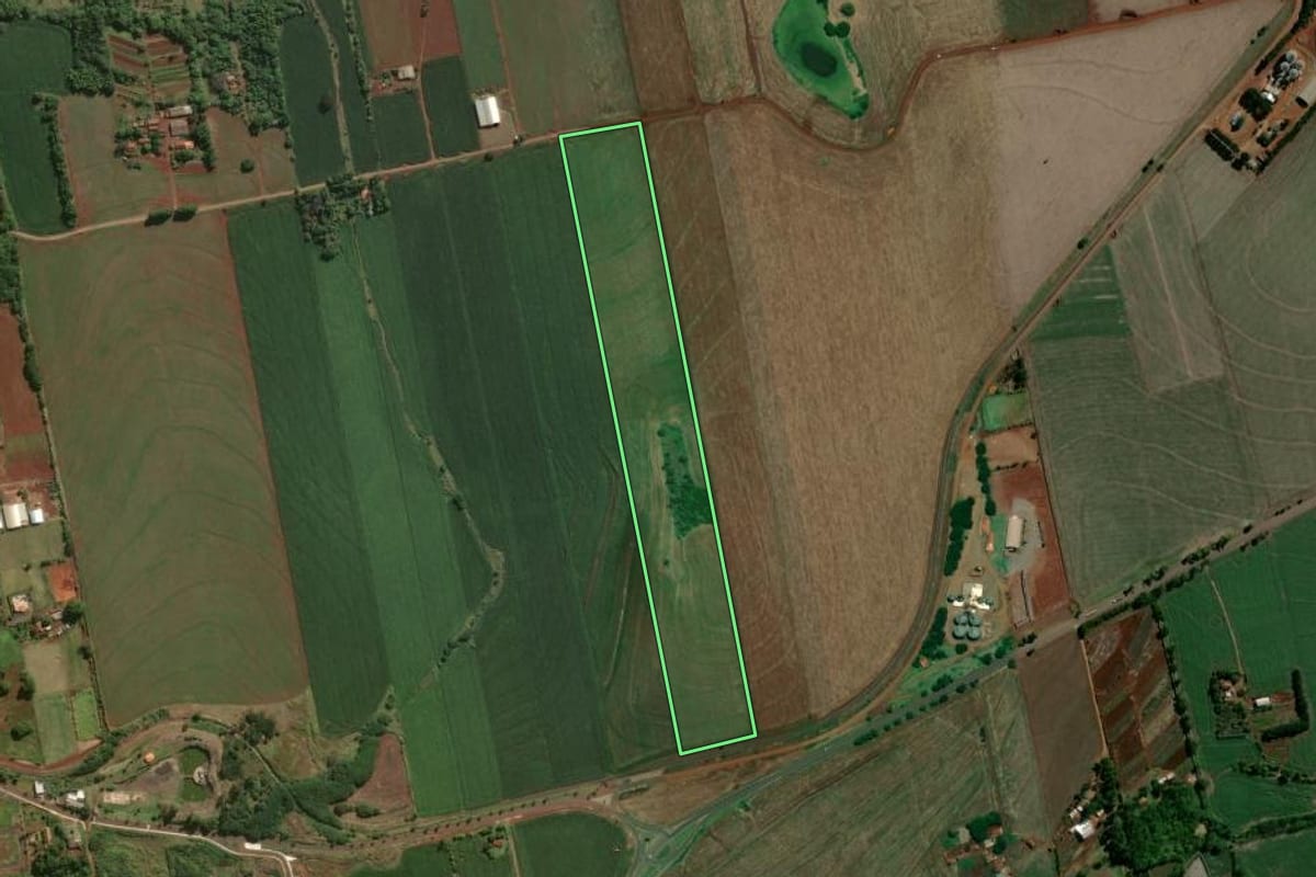 Imagem de satélite do imóvel rural em Santa Mariana (PR), com o contorno declarado no CAR desenhado por cima.