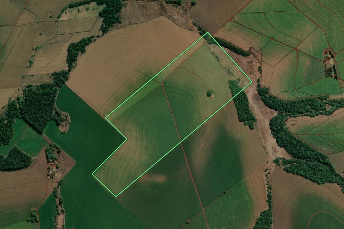 Imagem de satélite do imóvel rural em Santa Mariana (PR), com o contorno declarado no CAR desenhado por cima.