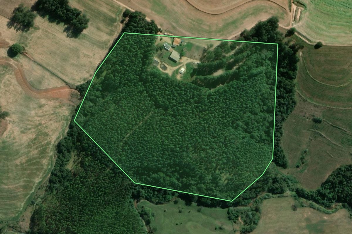 Imagem de satélite do imóvel rural em Santana do Itararé (PR), com o contorno declarado no CAR desenhado por cima.