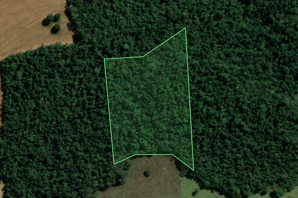 Imagem de satélite do imóvel rural em Santana do Itararé (PR), com o contorno declarado no CAR desenhado por cima.