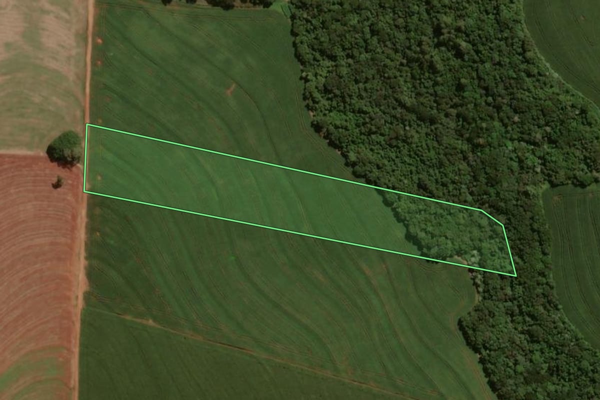 Imagem de satélite do imóvel rural em Santa Tereza do Oeste (PR), com o contorno declarado no CAR desenhado por cima.