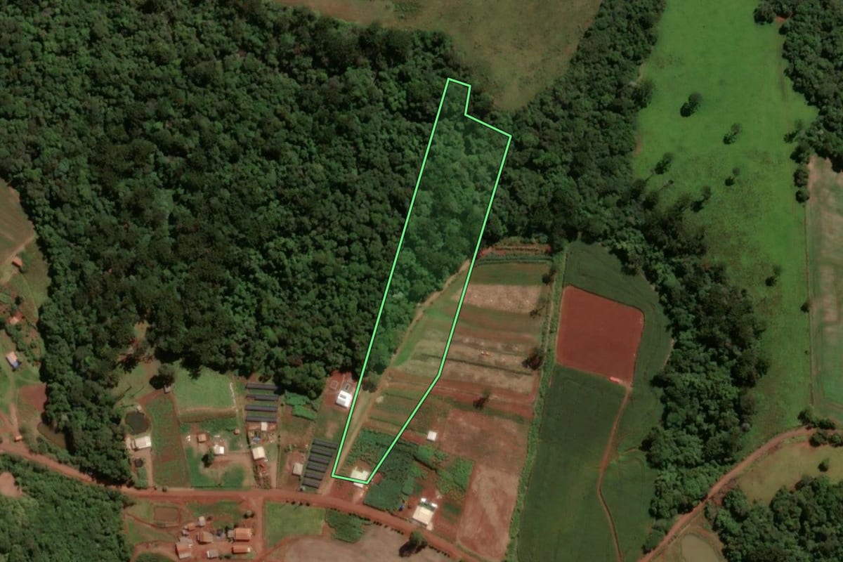 Imagem de satélite do imóvel rural em Santa Tereza do Oeste (PR), com o contorno declarado no CAR desenhado por cima.