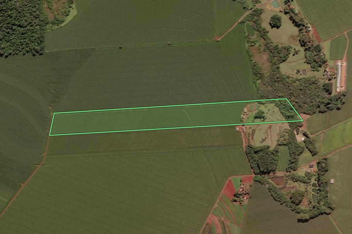 Imagem de satélite do imóvel rural em Santa Terezinha de Itaipu (PR), com o contorno declarado no CAR desenhado por cima.