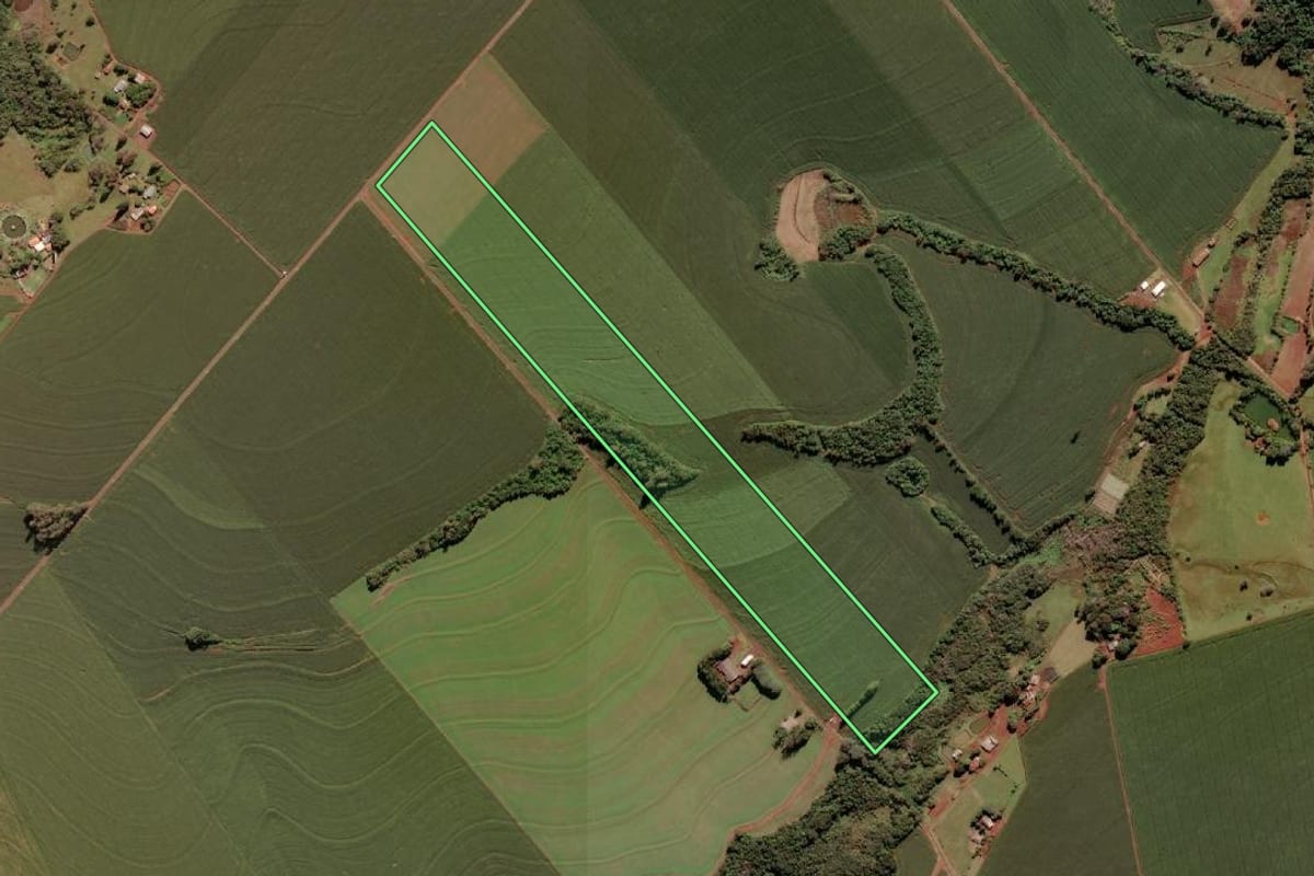 Imagem de satélite do imóvel rural em Santa Terezinha de Itaipu (PR), com o contorno declarado no CAR desenhado por cima.