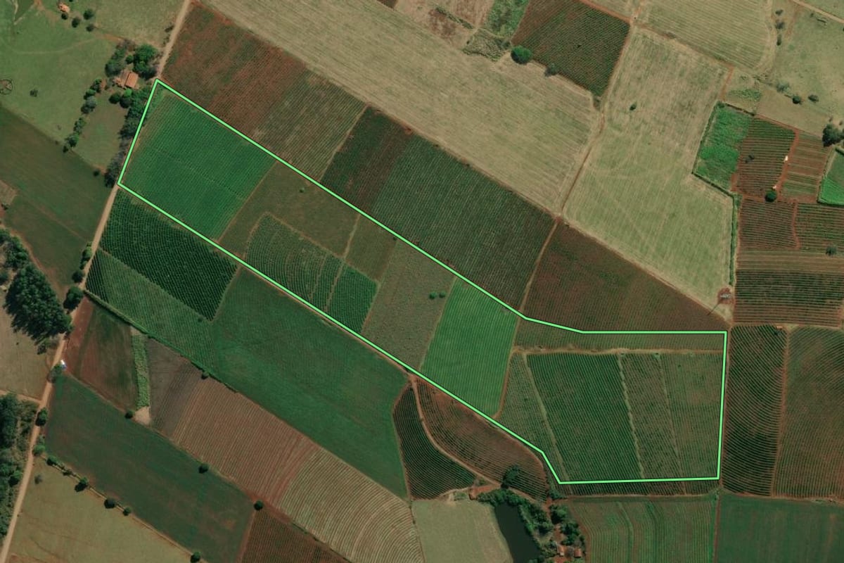 Imagem de satélite do imóvel rural em Santo Antônio da Platina (PR), com o contorno declarado no CAR desenhado por cima.