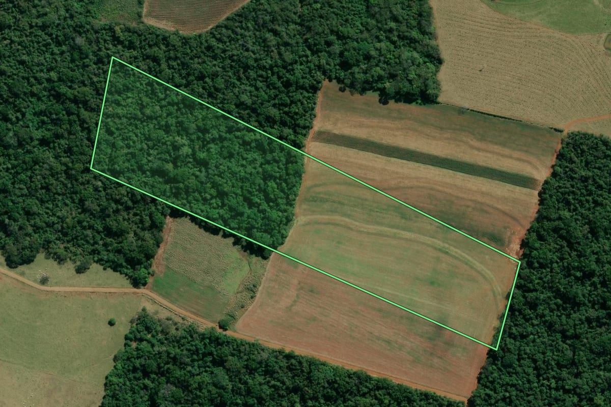 Imagem de satélite do imóvel rural em Santo Antônio da Platina (PR), com o contorno declarado no CAR desenhado por cima.