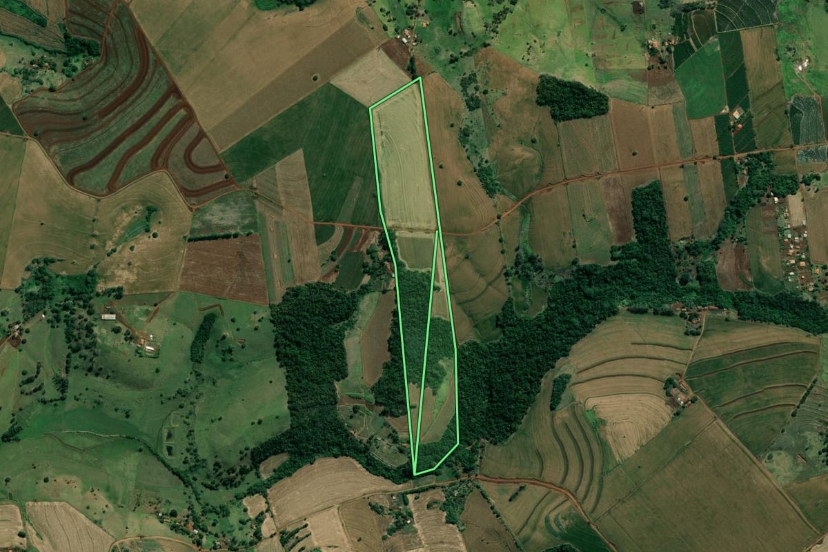 Imagem de satélite do imóvel rural em Santo Antônio da Platina (PR), com o contorno declarado no CAR desenhado por cima.