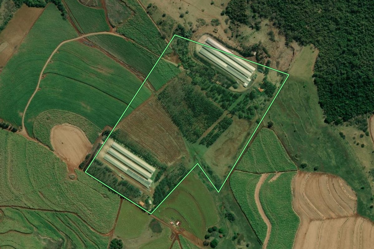 Imagem de satélite do imóvel rural em Santo Antônio da Platina (PR), com o contorno declarado no CAR desenhado por cima.
